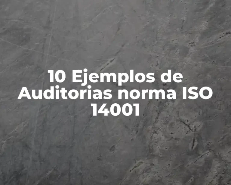 10 Ejemplos de Auditorias norma ISO 14001