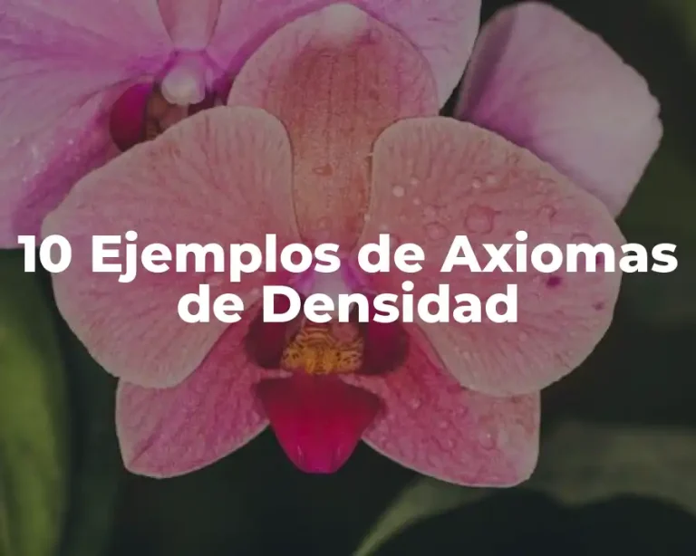 10 Ejemplos de Axiomas de Densidad