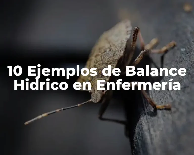 10 Ejemplos de Balance Hidrico en Enfermería