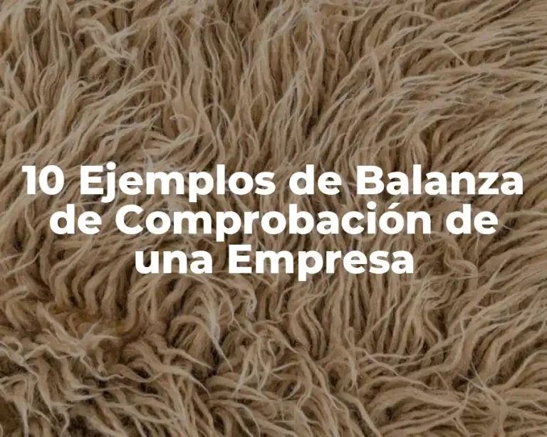 10 Ejemplos de Balanza de Comprobación de una Empresa