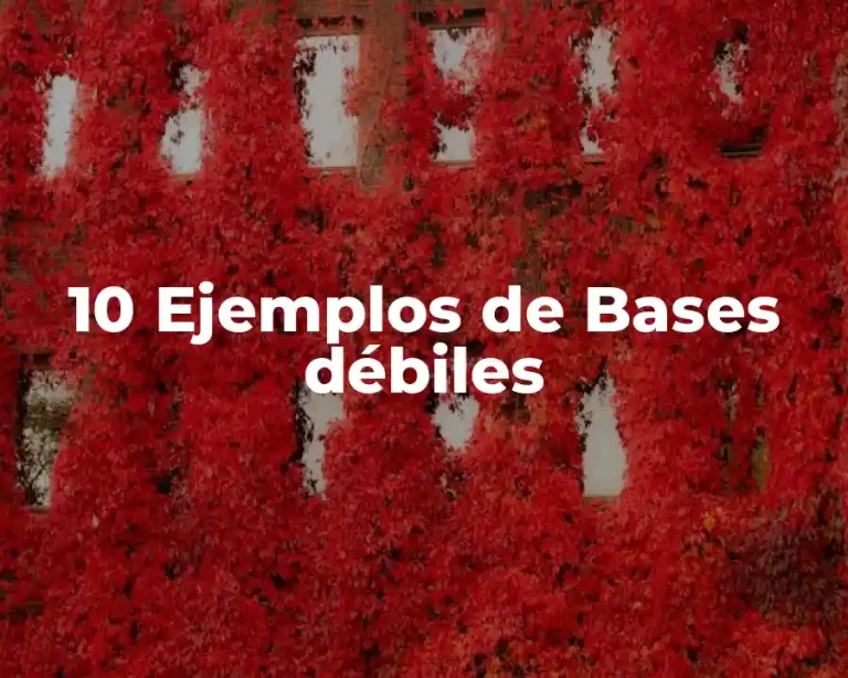 10 Ejemplos de Bases débiles