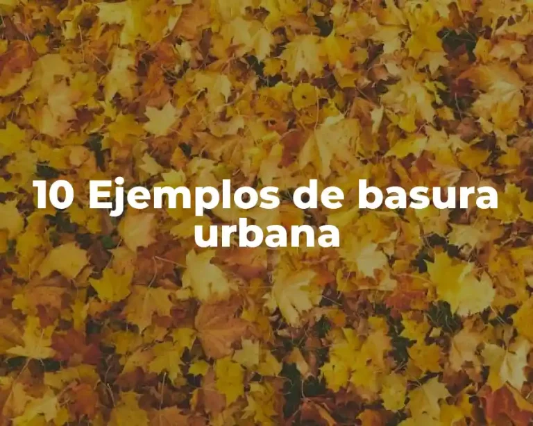 10 Ejemplos de basura urbana