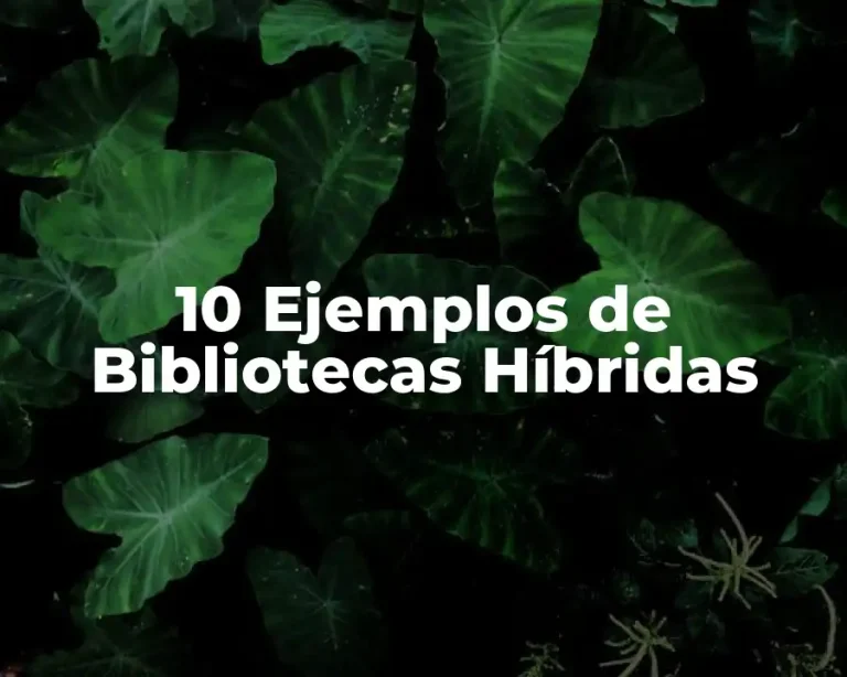 10 Ejemplos de Bibliotecas Híbridas