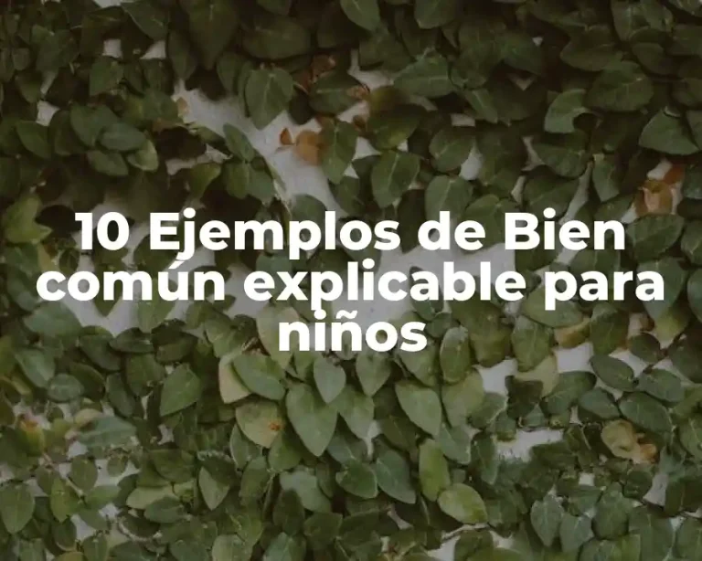 10 Ejemplos de Bien común explicable para niños