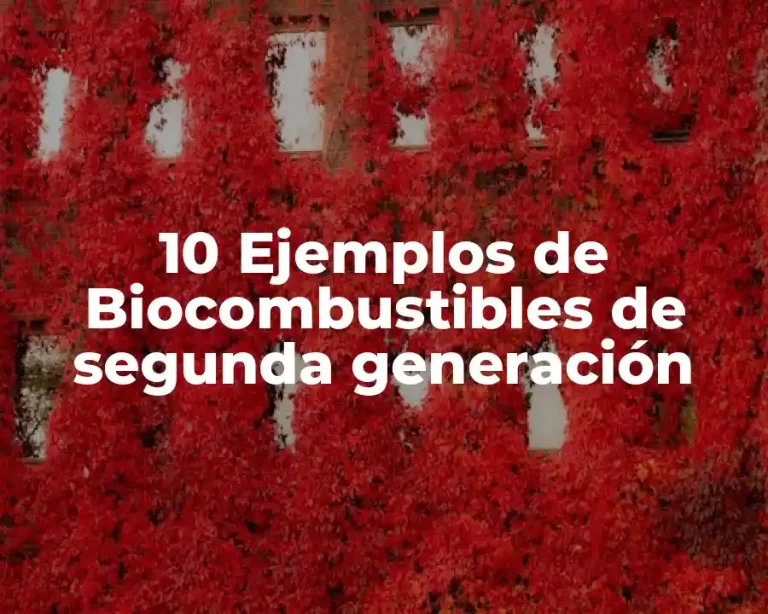 10 Ejemplos de Biocombustibles de segunda generación