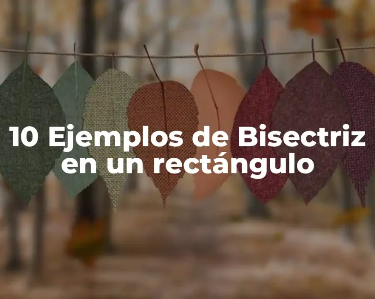 10 Ejemplos de Bisectriz en un rectángulo