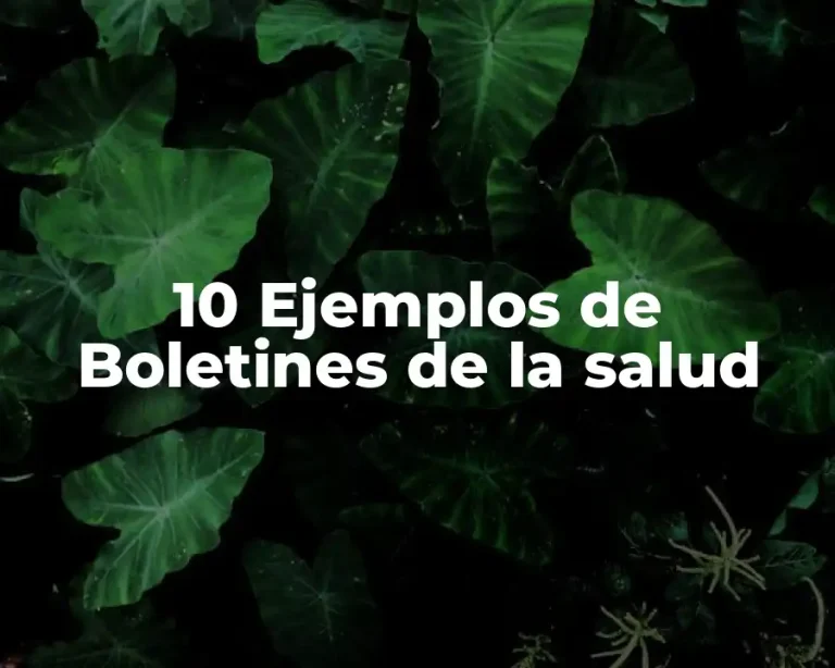 10 Ejemplos de Boletines de la salud