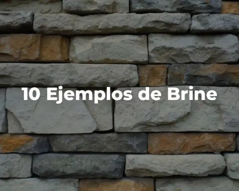 10 Ejemplos de Brine