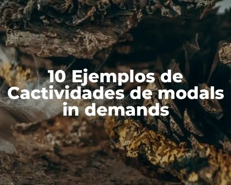 10 Ejemplos de Cactividades de modals in demands