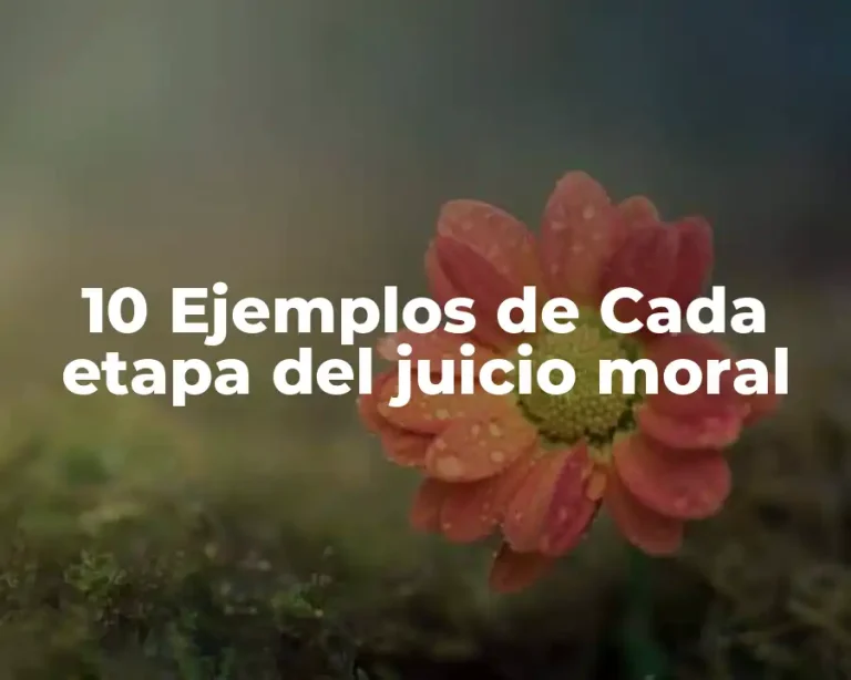 10 Ejemplos de Cada etapa del juicio moral