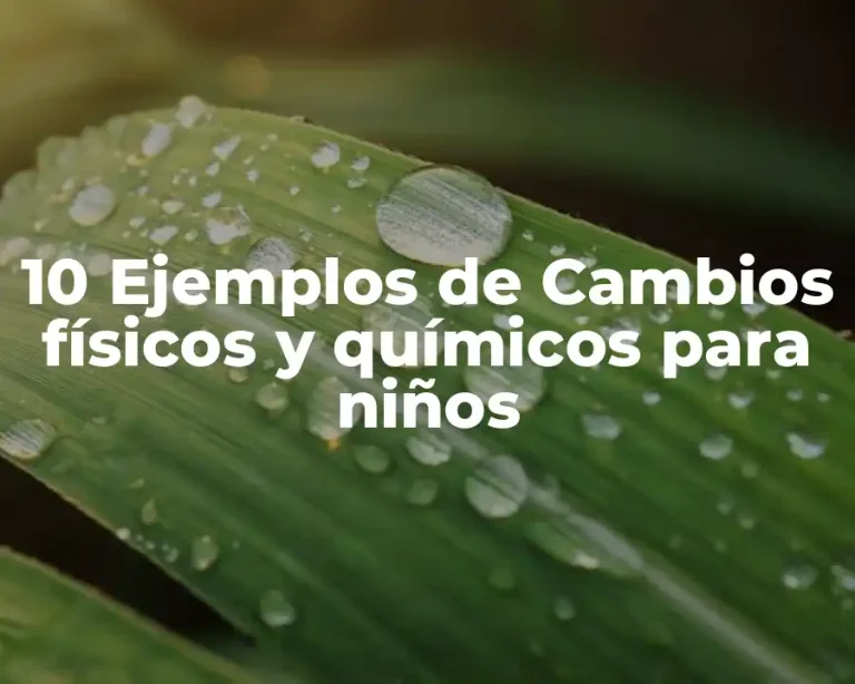 10 Ejemplos de Cambios físicos y químicos para niños
