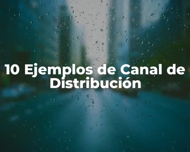 10 Ejemplos de Canal de Distribución