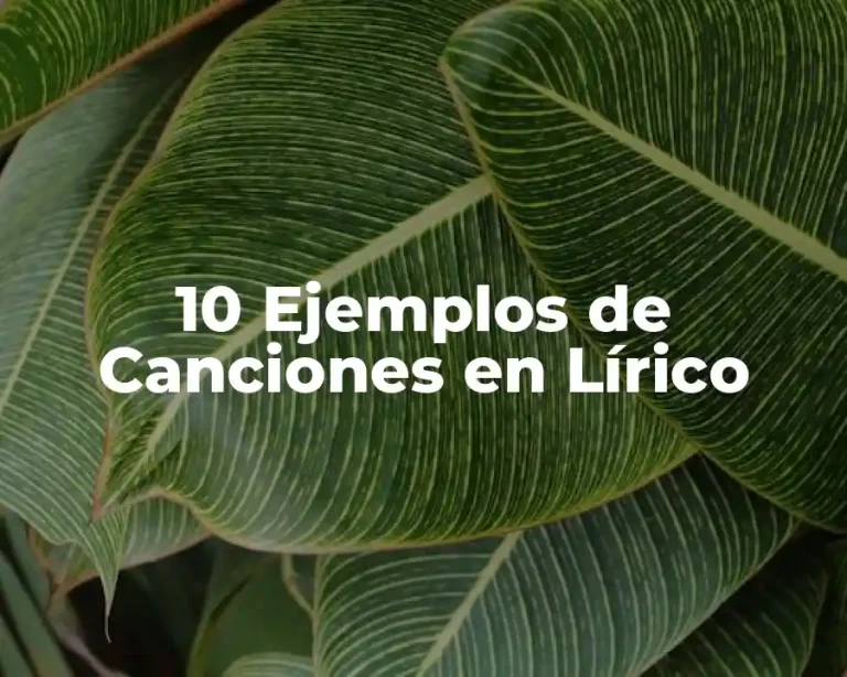 10 Ejemplos de Canciones en Lírico
