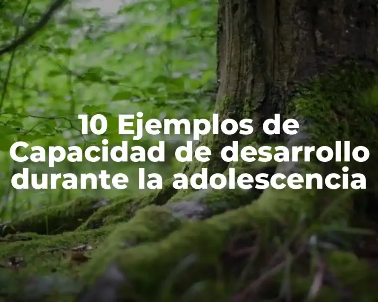 10 Ejemplos de Capacidad de desarrollo durante la adolescencia