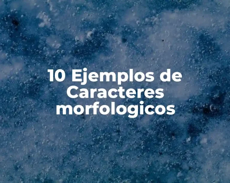 10 Ejemplos de Caracteres morfologicos