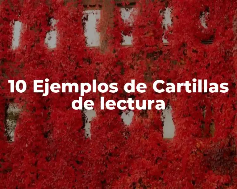 10 Ejemplos de Cartillas de lectura