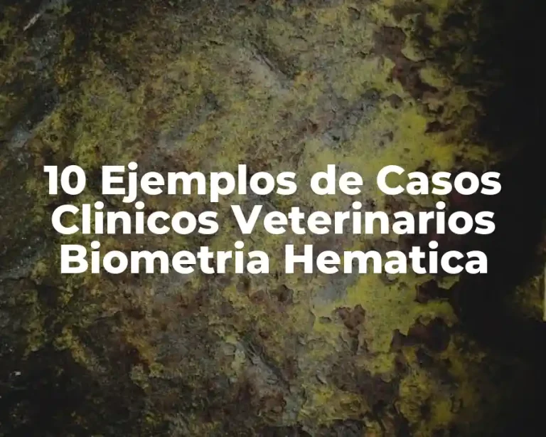 10 Ejemplos de Casos Clinicos Veterinarios Biometria Hematica
