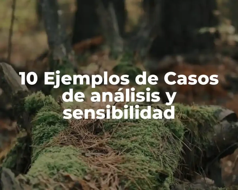 10 Ejemplos de Casos de análisis y sensibilidad