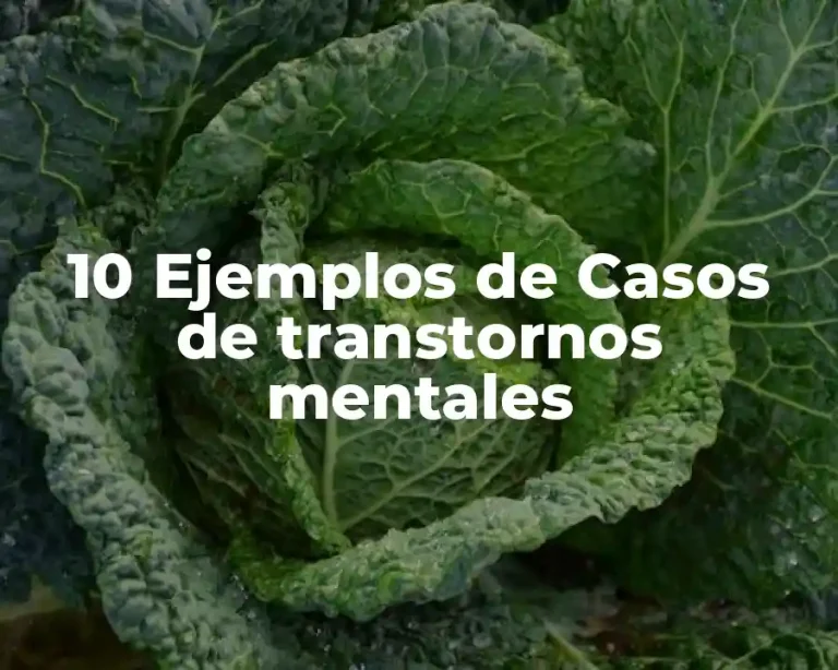 10 Ejemplos de Casos de transtornos mentales