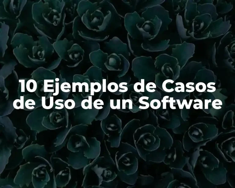 10 Ejemplos de Casos de Uso de un Software