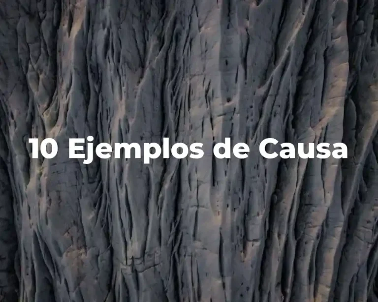 10 Ejemplos de Causa