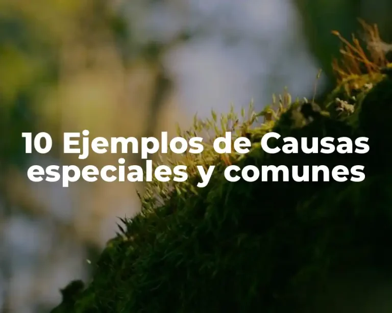 10 Ejemplos de Causas especiales y comunes