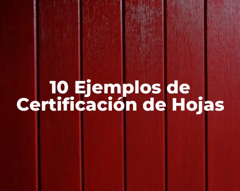 10 Ejemplos de Certificación de Hojas