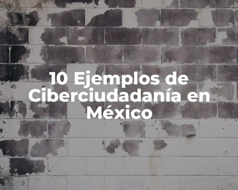 10 Ejemplos de Ciberciudadanía en México