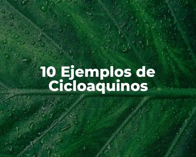 10 Ejemplos de Cicloaquinos
