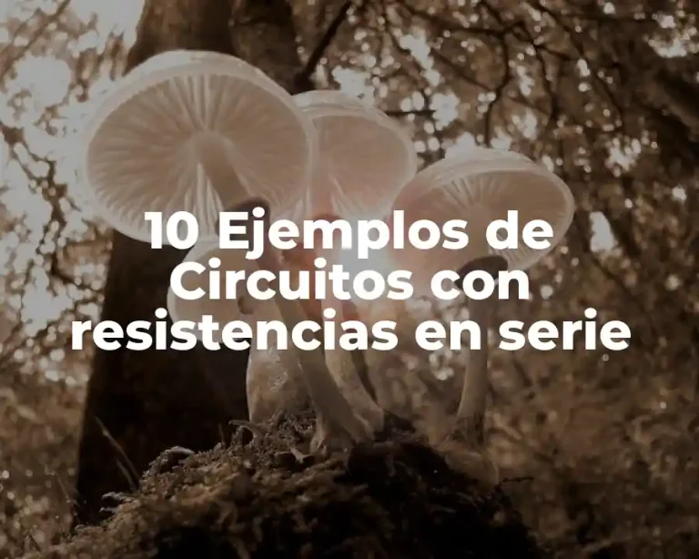 10 Ejemplos de Circuitos con resistencias en serie