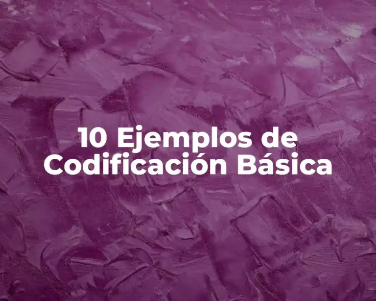 10 Ejemplos de Codificación Básica