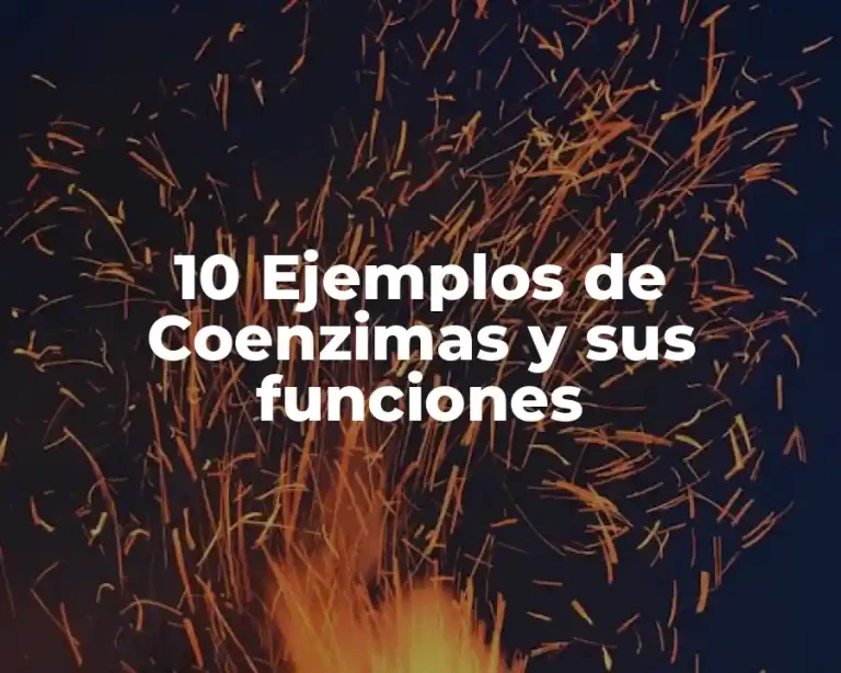 10 Ejemplos de Coenzimas y sus funciones