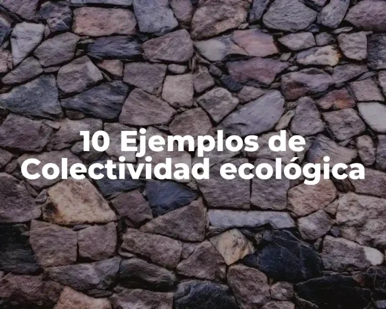 10 Ejemplos de Colectividad ecológica