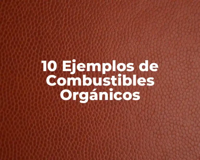 10 Ejemplos de Combustibles Orgánicos