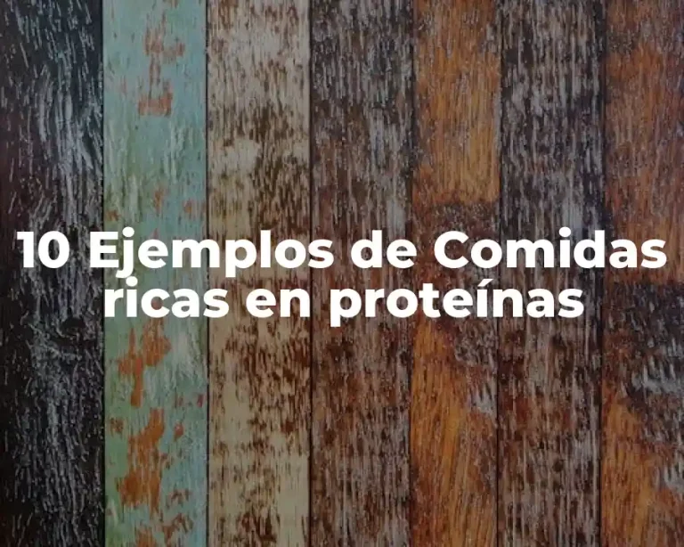 10 Ejemplos de Comidas ricas en proteínas