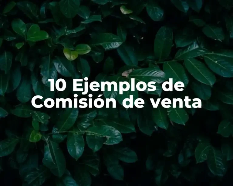 10 Ejemplos de Comisión de venta