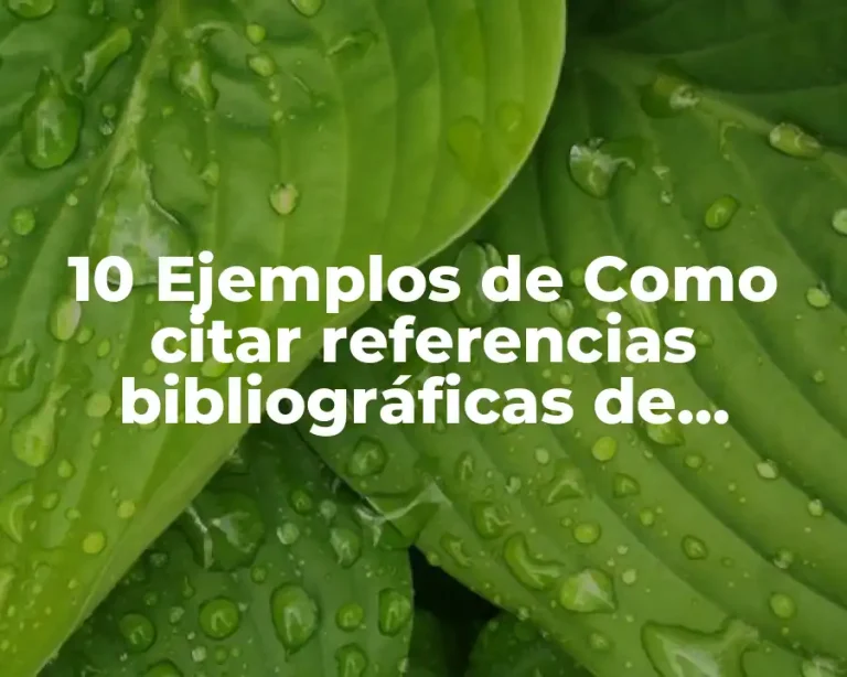 10 Ejemplos de Como citar referencias bibliográficas de Internet