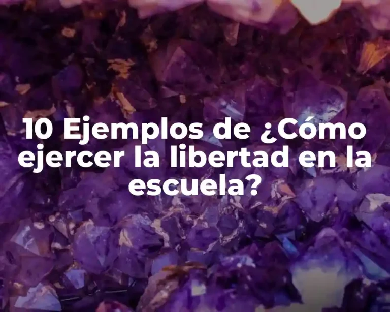 10 Ejemplos de ¿Cómo ejercer la libertad en la escuela?