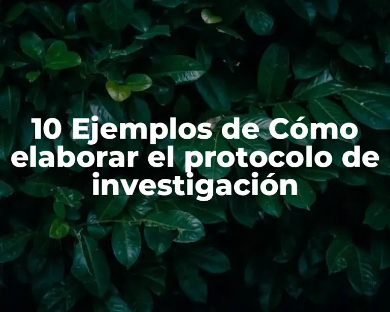 10 Ejemplos de Cómo elaborar el protocolo de investigación
