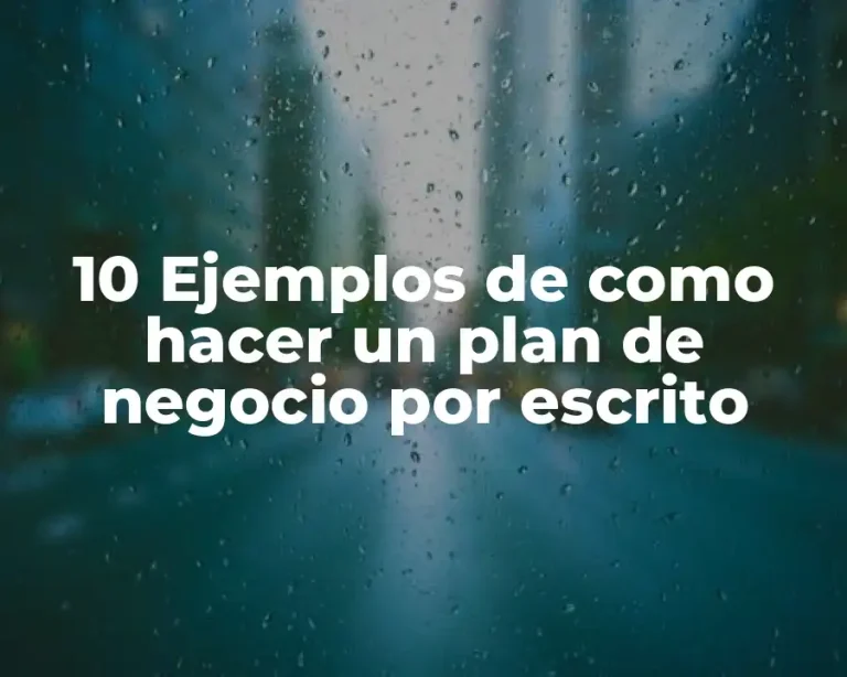 10 Ejemplos de como hacer un plan de negocio por escrito