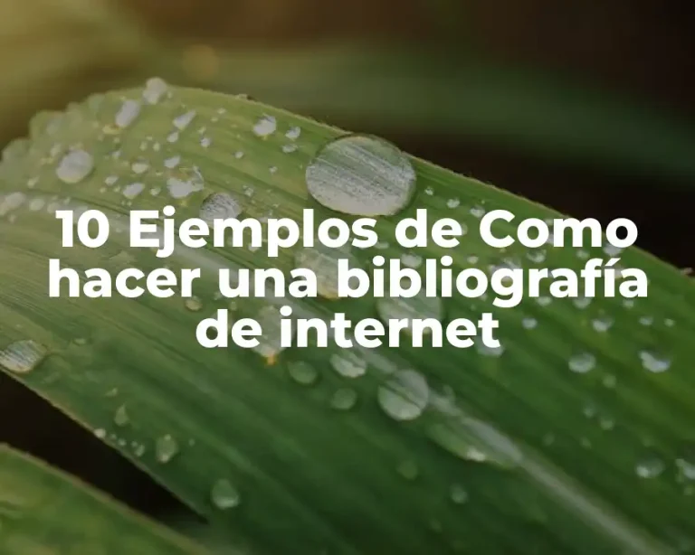 10 Ejemplos de Como hacer una bibliografía de internet
