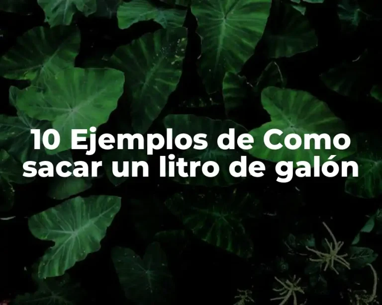 10 Ejemplos de Como sacar un litro de galón