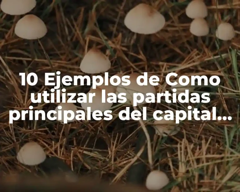10 Ejemplos de Como utilizar las partidas principales del capital contable