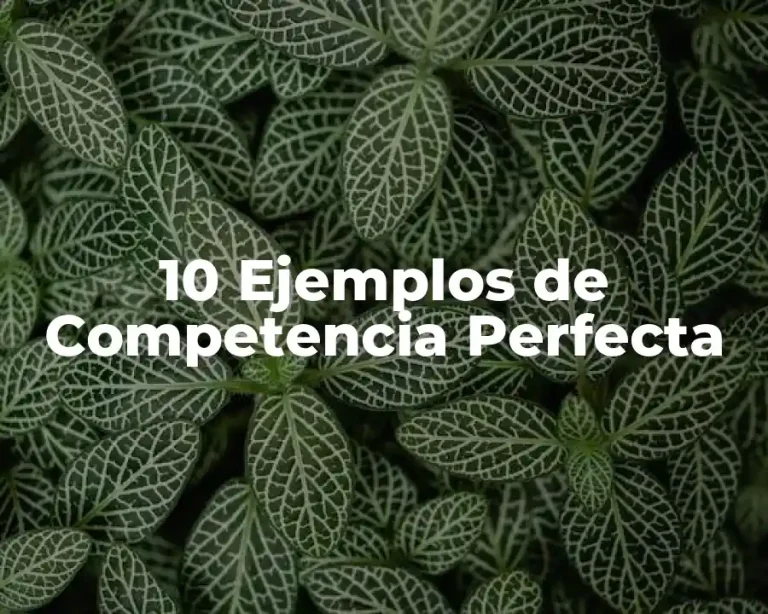 10 Ejemplos de Competencia Perfecta