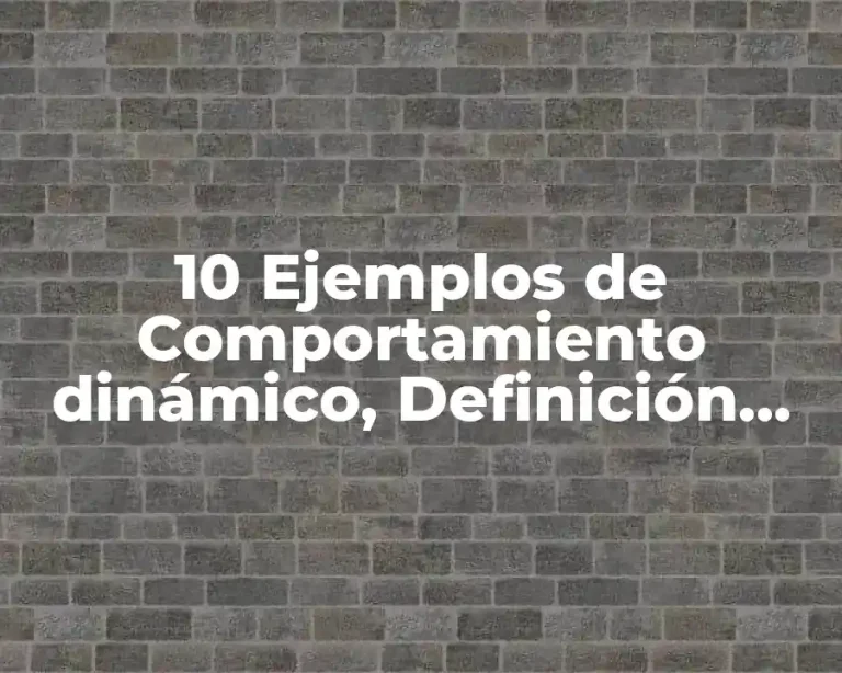 10 Ejemplos de Comportamiento dinámico, Definición, Diferencias y para que sirve