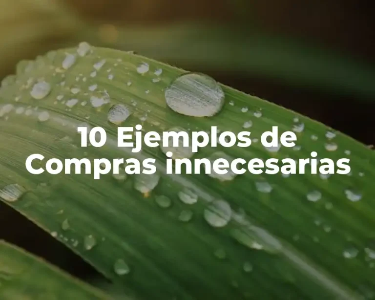 10 Ejemplos de Compras innecesarias