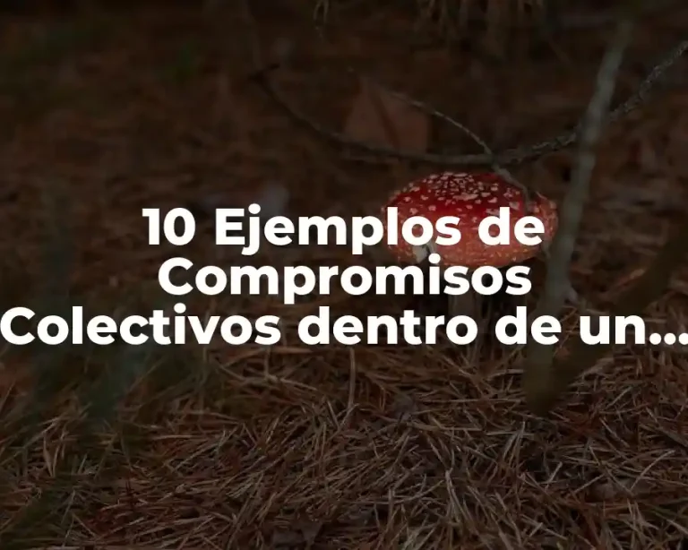 10 Ejemplos de Compromisos Colectivos dentro de un Salón, Definición, Diferencias y para que sirve
