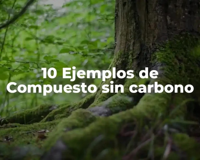 10 Ejemplos de Compuesto sin carbono