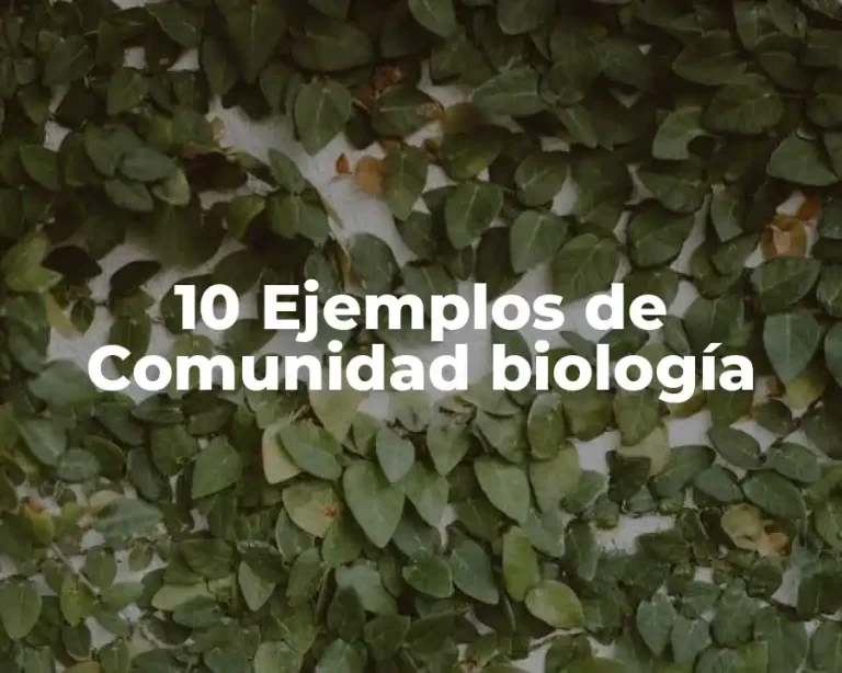 10 Ejemplos de Comunidad biología