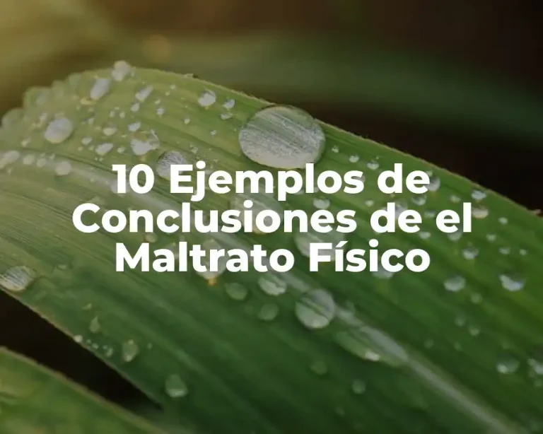 10 Ejemplos de Conclusiones de el Maltrato Físico